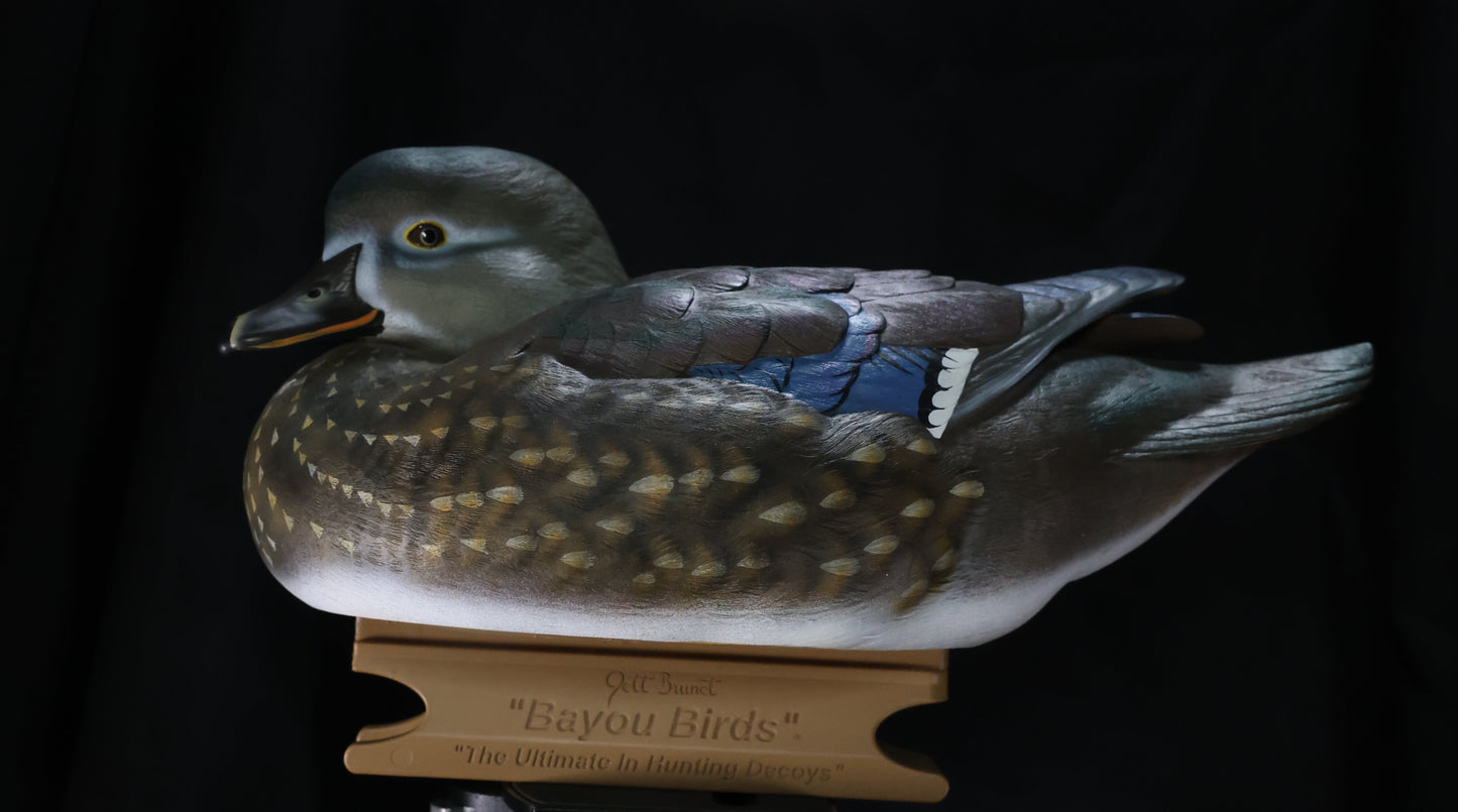 Wood Duck Rig